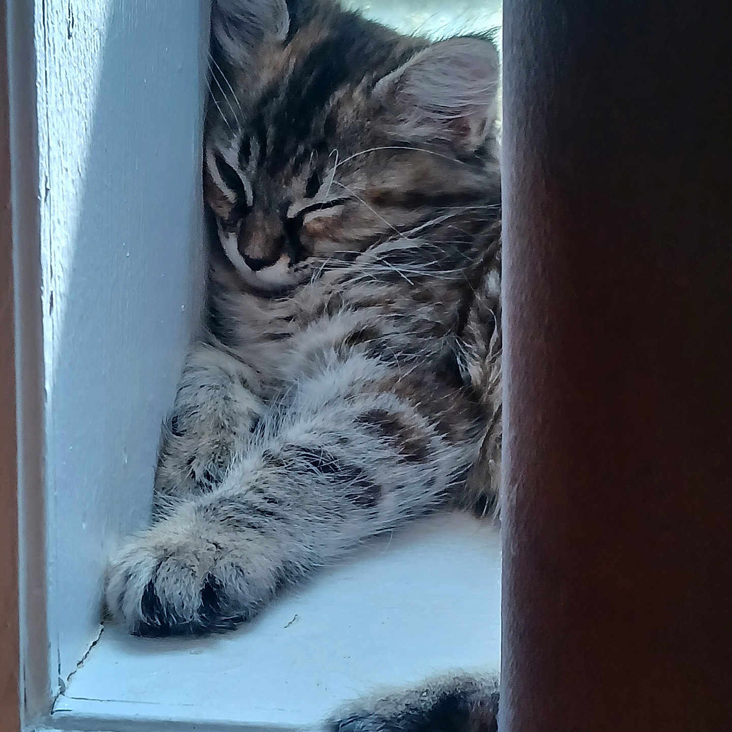 Snuggles