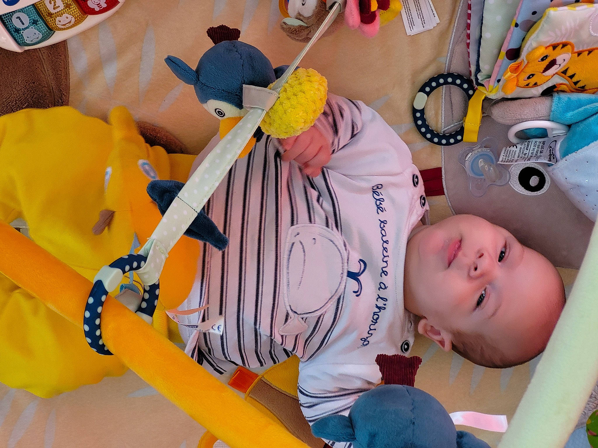 Marius participe au concours pour gagner de l'argent avec cette photo : amusement_ride, baby, baby_products, child, fun, hat, headgear, jersey, leisure, orange, person, play, player, recreation, room, sports_gear, sportswear, t_shirt, toddler, toy