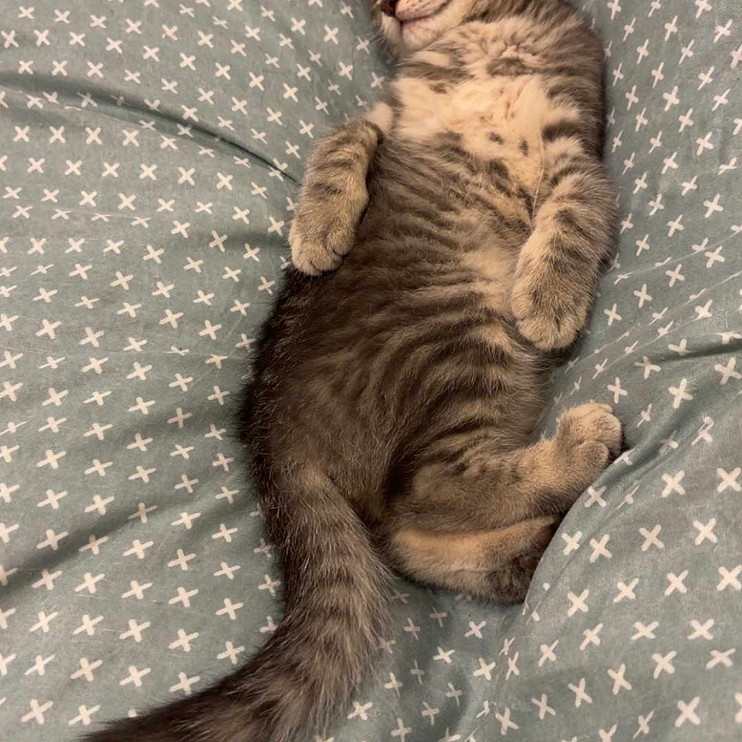 Ruby