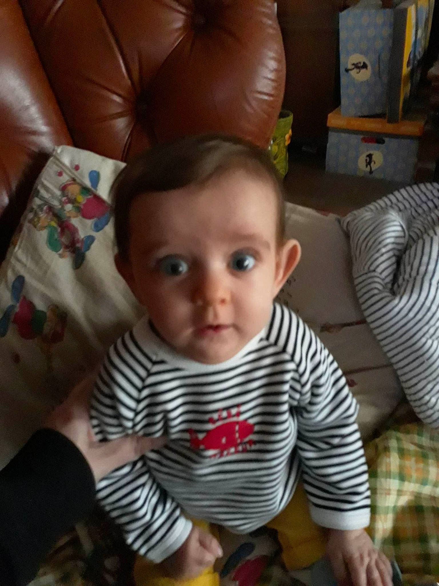 Clément participe au concours pour gagner de l'argent avec cette photo : baby, baby_toddler_clothing, cheek, child, comfort, eye, hairstyle, happy, head, human_body, lap, mammal, mouth, nose, people, person, product, skin, sleeve, textile