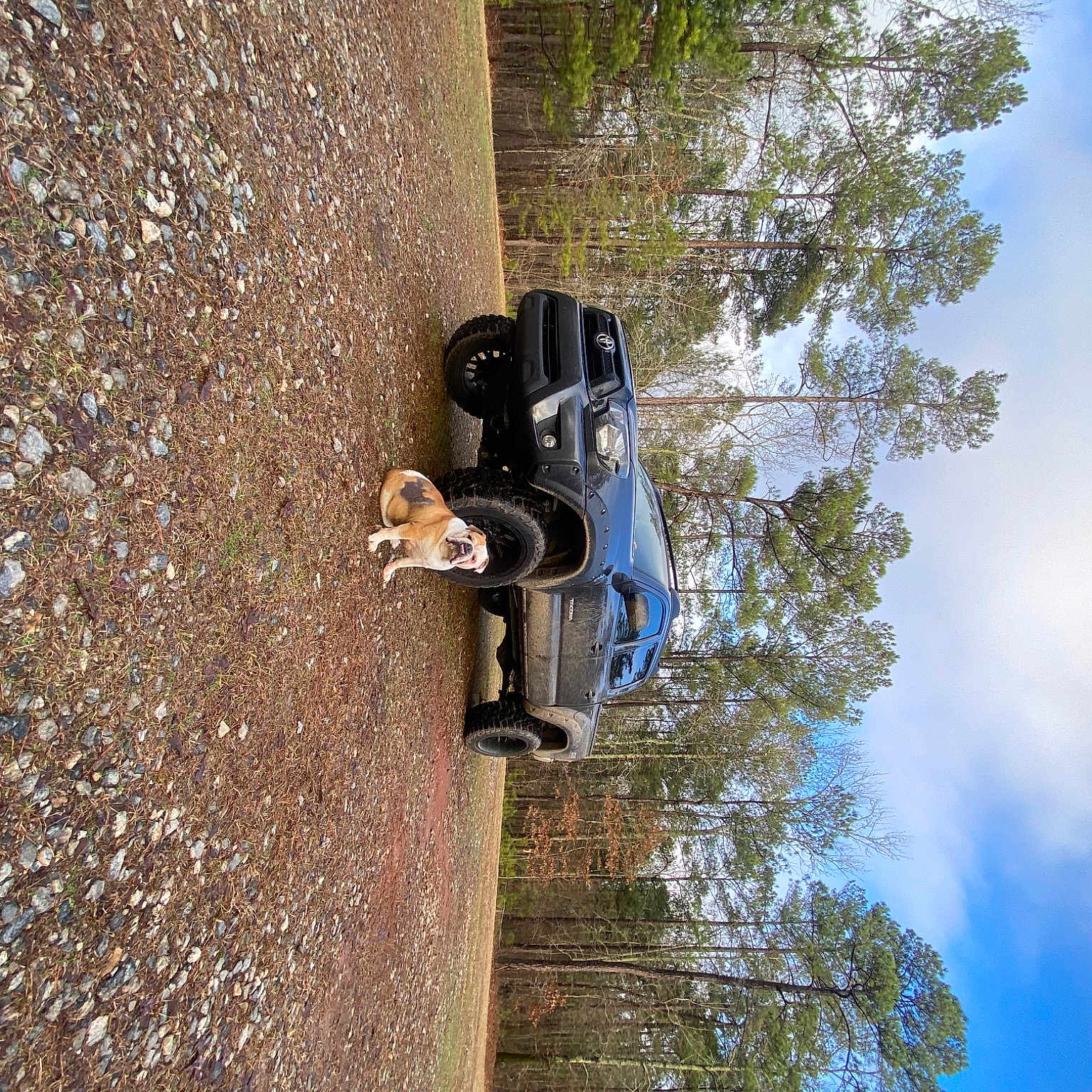 Houston is registered to the contest to win money with this photo: adventure, auto_part, automotive_exterior, automotive_lighting, automotive_tire, automotive_wheel_system, car, cloud, landscape, motor_vehicle, plant, recreation, reflection, sky, street_light, tire, tree, vehicle, wheel, wood