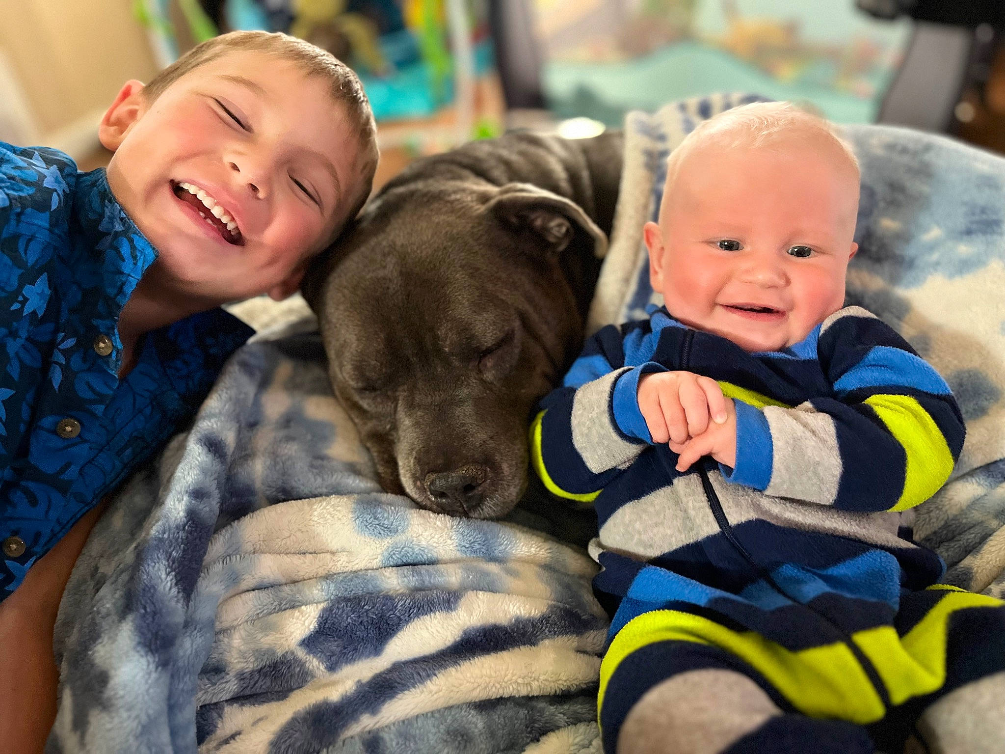 Tyler joined the competition — help win amazing prizes! baby, carnivore, child, comfort, companion_dog, couch, dog, dog_breed, event, fun, fur, happy, joy, leisure, person, play, sitting, skin, smile, sporting_group