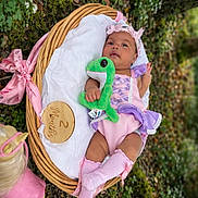 Alyah Grace is registered to the contest to win money with this photo: baby, infant, wicker_basket, blanket, plush_toy, frog_plush, headband, pink_clothing, purple_clothing, knee_high_socks, outdoor, moss, flowers, greenery, milestone_disc, ribbon, portrait, cute, newborn_photography, smiling_face