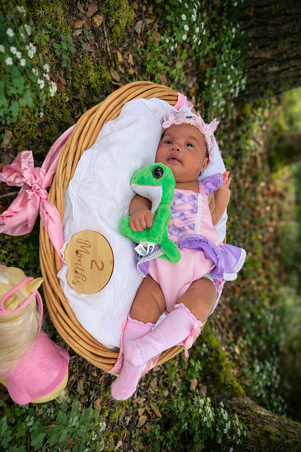 Alyah Grace is registered to the contest to win money with this photo: baby, infant, wicker_basket, blanket, plush_toy, frog_plush, headband, pink_clothing, purple_clothing, knee_high_socks, outdoor, moss, flowers, greenery, milestone_disc, ribbon, portrait, cute, newborn_photography, smiling_face