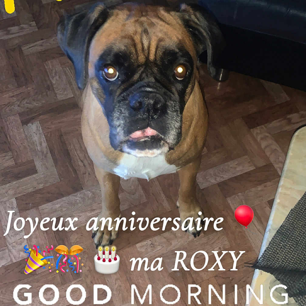 Roxy