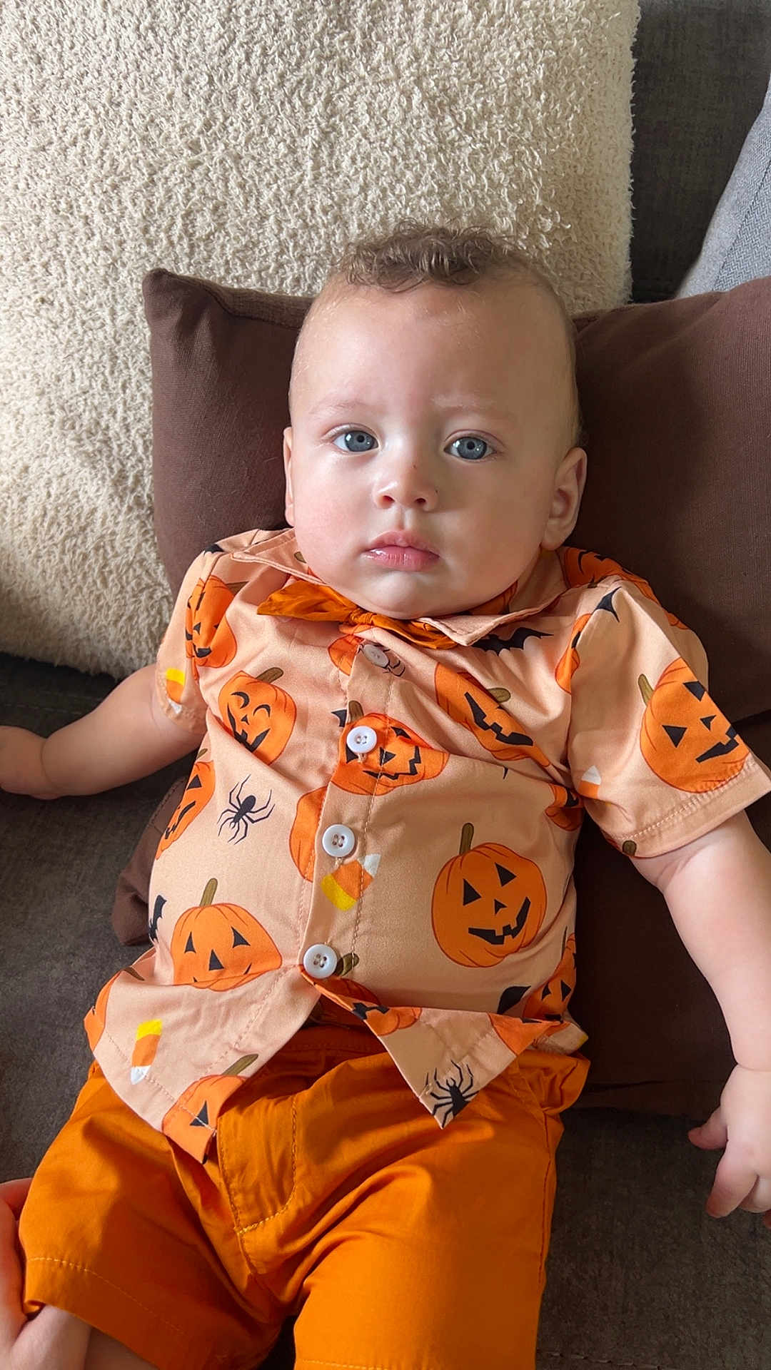 Jalen joined the competition — help win amazing prizes! baby, child, pumpkin_shirt, orange_shorts, cushion, sofa, blue_eyes, curly_hair, casual_clothing, indoor, relaxed, portrait, cute, festive, halloween_theme, infant, comfortable, soft_lighting, closeup, person