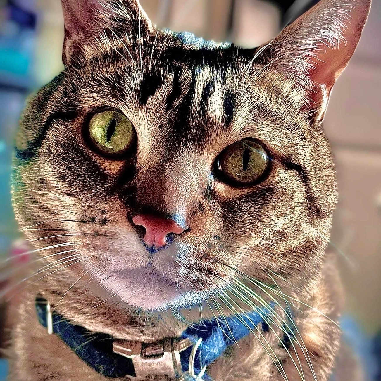 Melvin