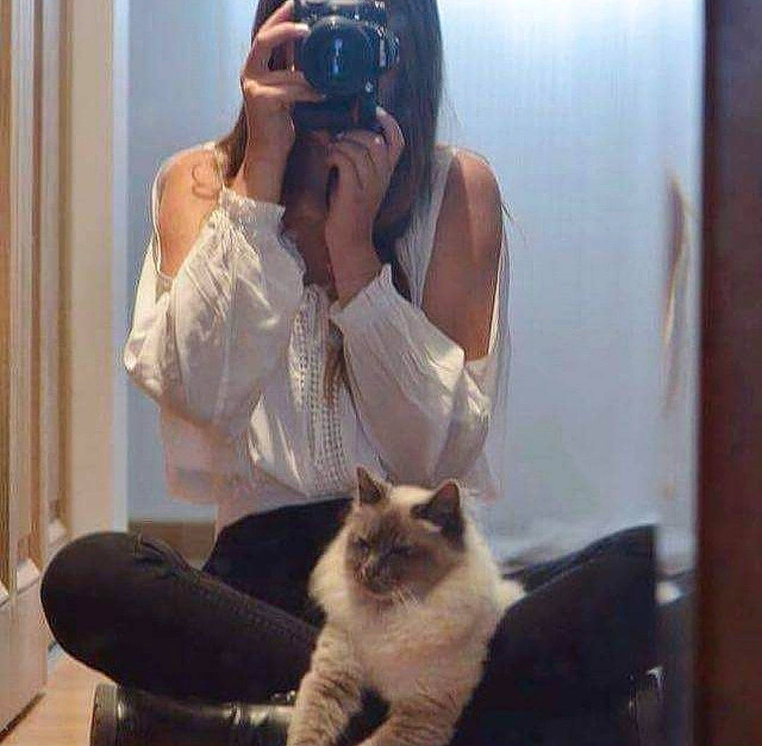 Dior participe au concours pour gagner de l'argent avec cette photo : black_hair, carnivore, cat, ear, fawn, felidae, fur, glasses, human, long_hair, nose, photography, selfie, sitting, small_to_medium_sized_cats, thai, tonkinese, whiskers