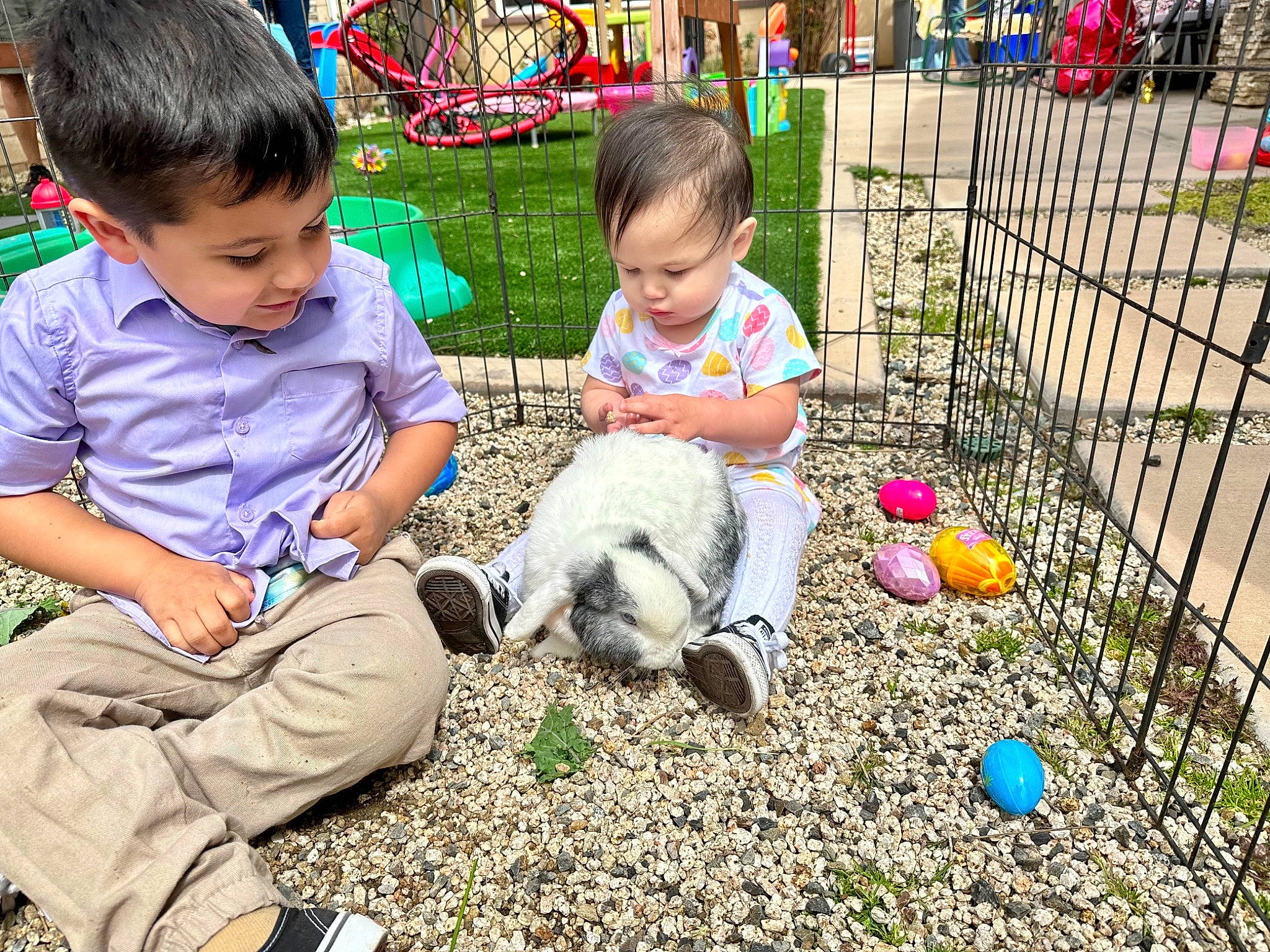 Aries joined the competition — help win amazing prizes! adaptation, child, event, fence, fun, grass, happy, leg, leisure, mammal, person, plant, recreation, sharing, shoe, shorts, sitting, snapshot, sneakers, toddler