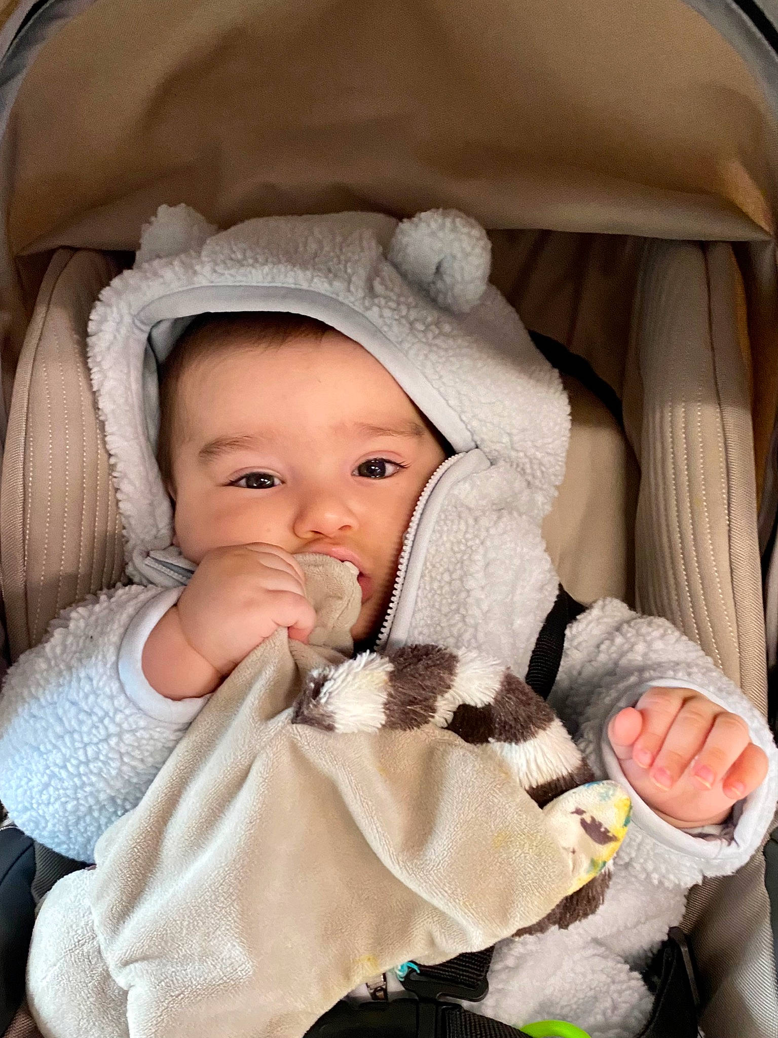 Marco participe au concours pour gagner de l'argent avec cette photo : auto_part, baby, baby_carriage, baby_in_car_seat, baby_products, baby_safety, baby_toddler_clothing, car_seat, cheek, child, comfort, headgear, linens, nail, person, seat_belt, sitting, skin, thumb, toddler