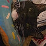 cat, black_cat, white_patch, whiskers, close_up, blanket, colorful_blanket, papers, magazines, indoor, pet, animal, feline, curious, resting, face, eye, ear, nose, cozy