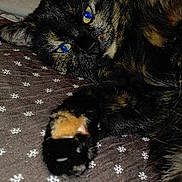 Kana participe au concours pour gagner de l'argent avec cette photo :