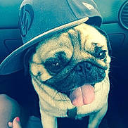 Carlos participe au concours pour gagner de l'argent avec cette photo :