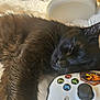animal, black_cat, buttons, close_up, comfort, cozy, cute, fur, game_controller, home, indoors, leisure, pet, relaxation, resting, sleeping, soft, sticker, technology, toy