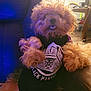 dog, curly_hair, black_panther_shirt, pet_clothing, indoor, leather_chair, cozy, warm_lighting, fluffy, small_dog, sitting, cute, adorable, furry, mouth_open, scruffy, relaxed, furniture, home, animal