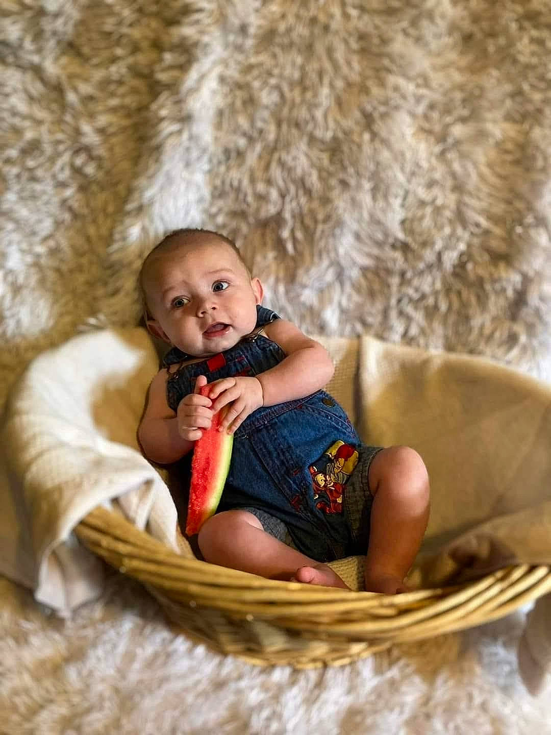 Dallas joined the competition — help win amazing prizes! baby, baby_products, chair, child, comfort, eye, fawn, flash_photography, foot, fun, fur, grass, happy, head, leisure, linens, person, sitting, skin, toddler