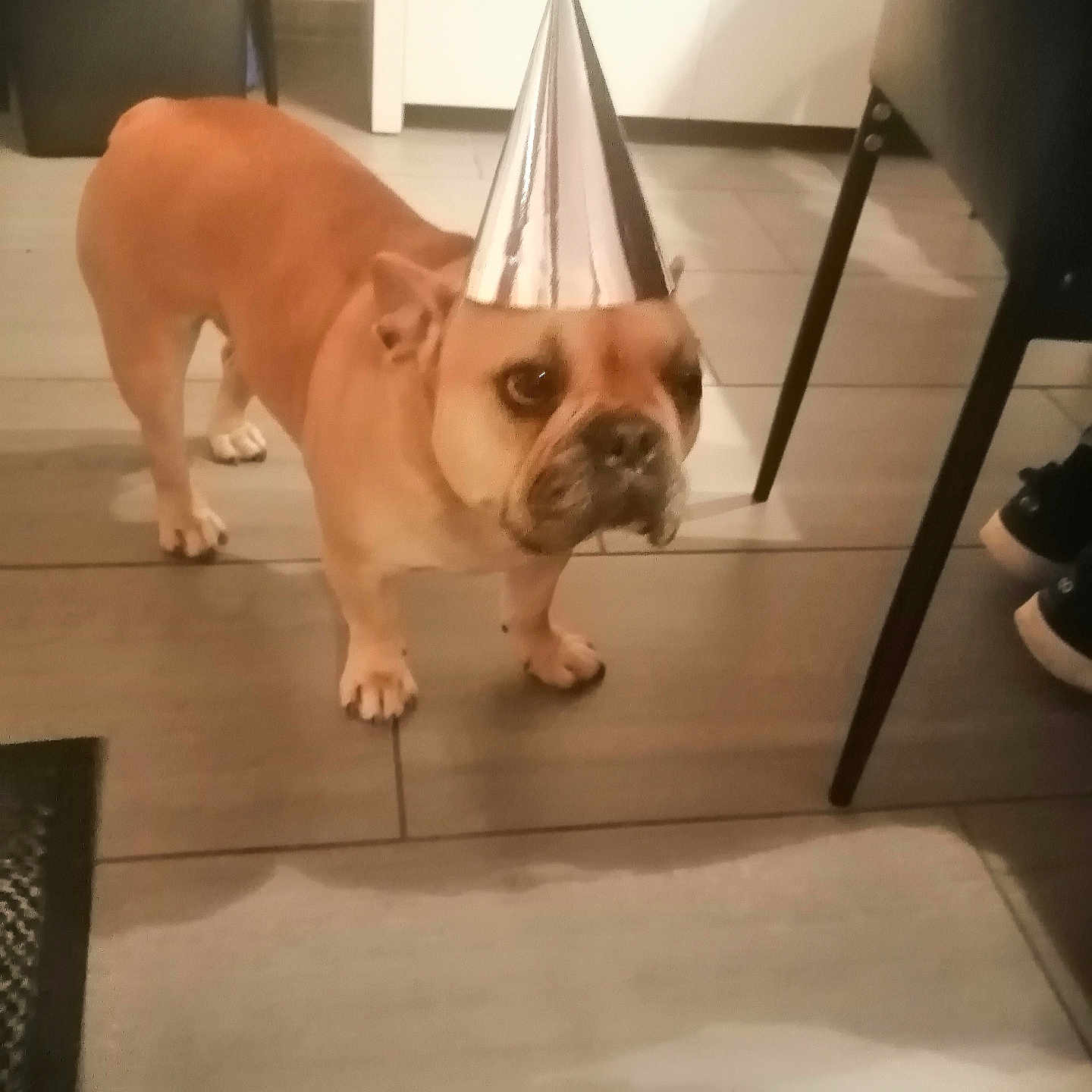 Sookie