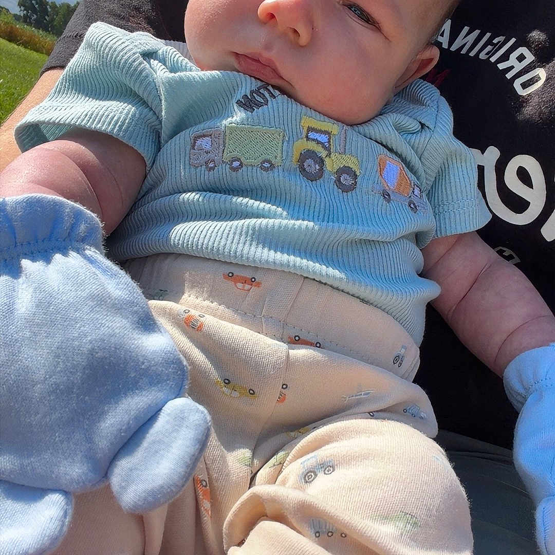 Zander