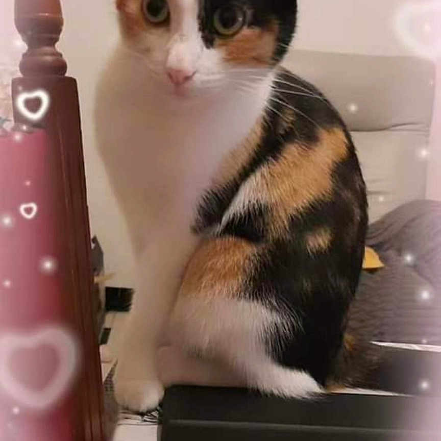 Tina