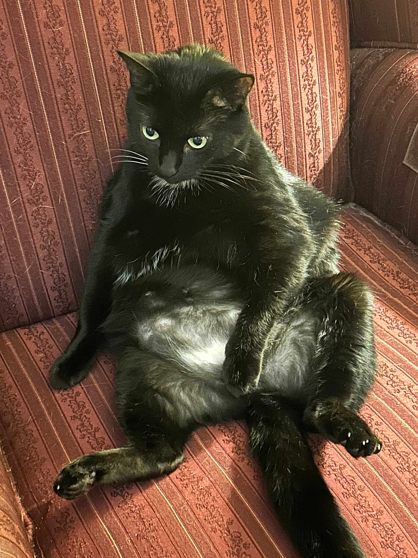 Lucy