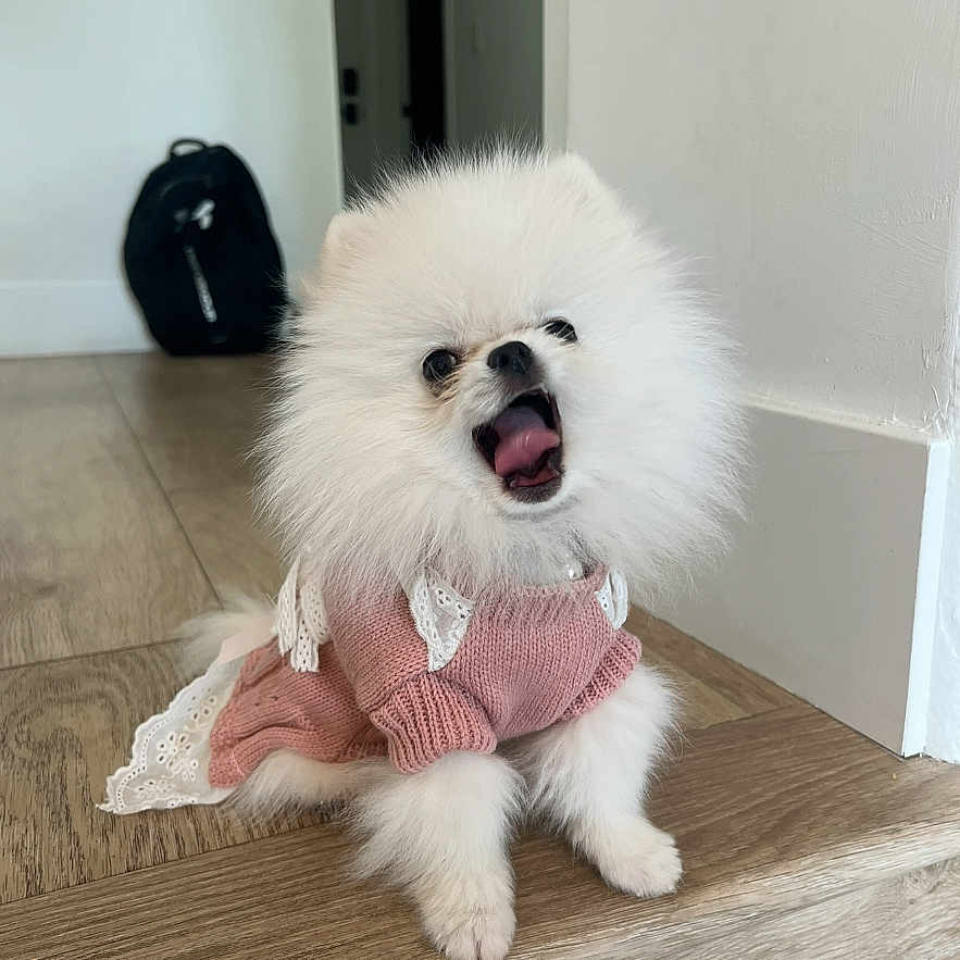 Lulu