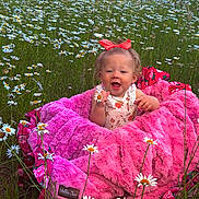 Ava is registered to the contest to win money with this photo: baby, child, flower, daisy, pink_blanket, bow, smile, outdoor, grass, field, nature, happy, cute, person, fluffy, greenery, spring, sunlight, portrait, infant