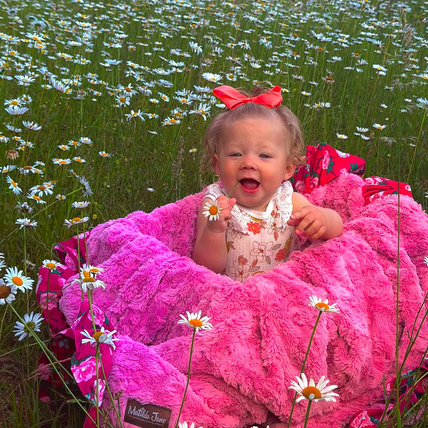 Ava is registered to the contest to win money with this photo: baby, child, flower, daisy, pink_blanket, bow, smile, outdoor, grass, field, nature, happy, cute, person, fluffy, greenery, spring, sunlight, portrait, infant
