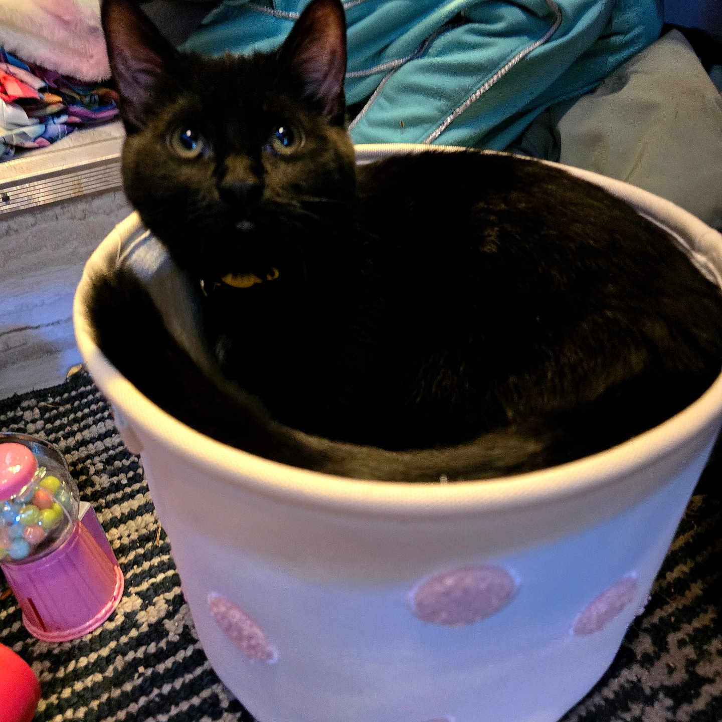 Luna