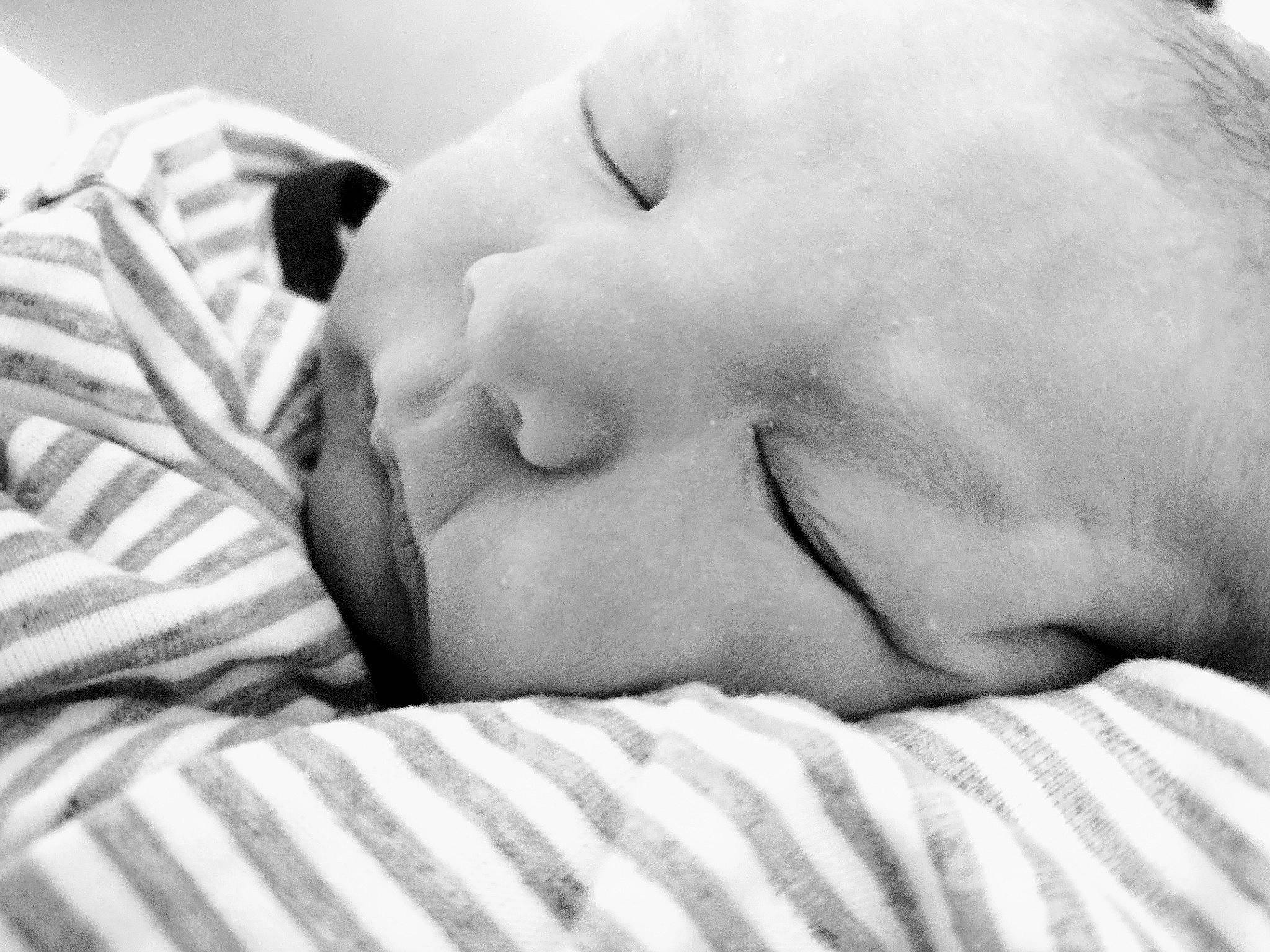 Artemis joined the competition — help win amazing prizes! baby, bedding, bedtime, child, comfort, eyebrow, eyelash, flesh, fur, gesture, happy, linens, love, monochrome, monochrome_photography, nap, person, portrait_photography, room, sleep