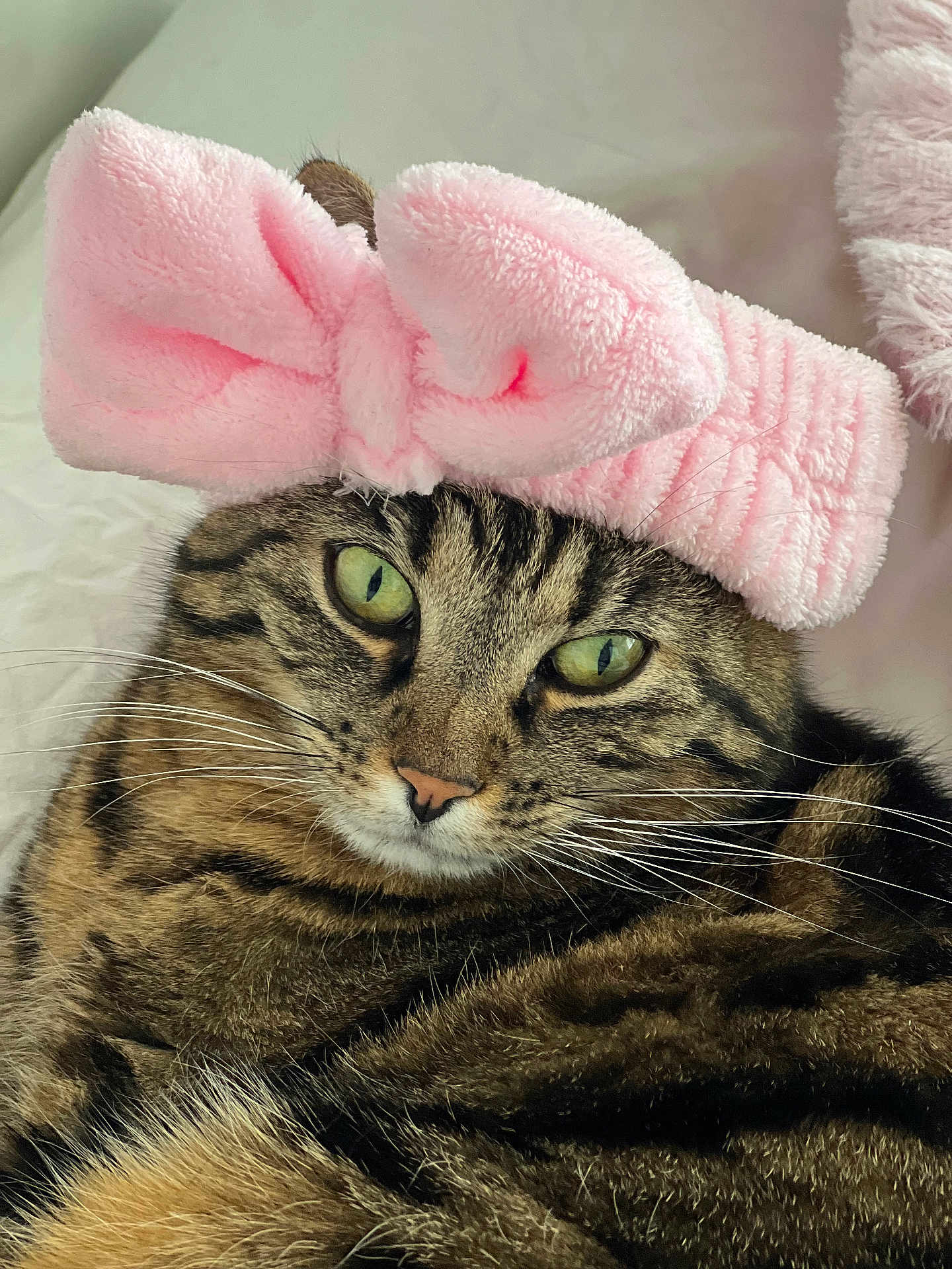 Nala