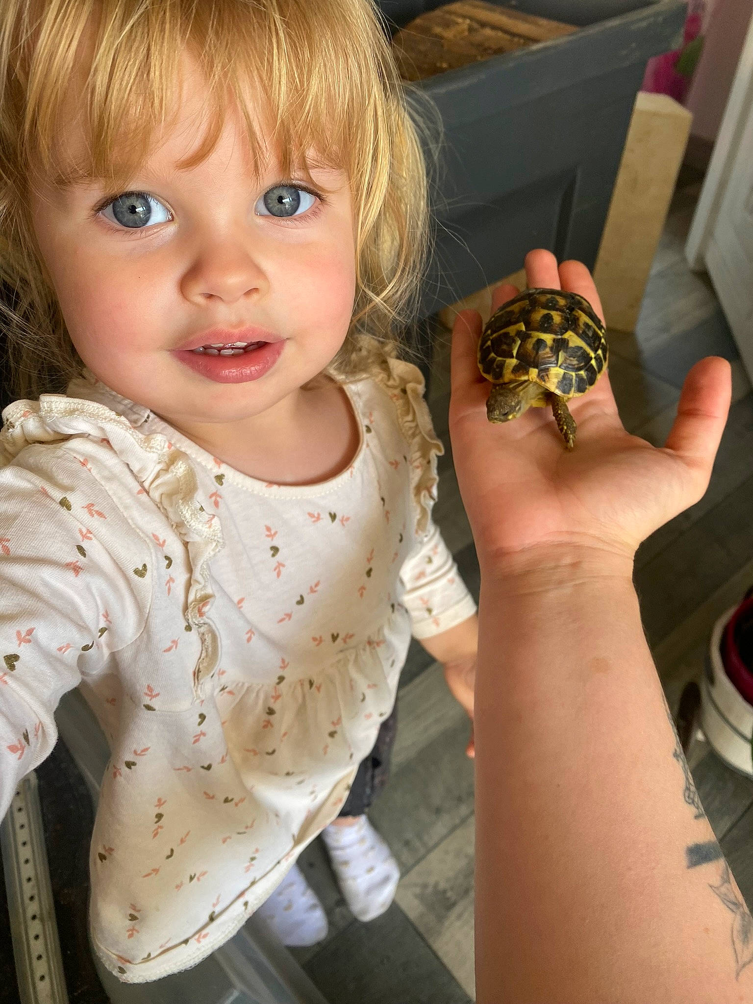 Lyanna participe au concours pour gagner de l'argent avec cette photo : baby_toddler_clothing, bangs, blond, cheek, child, eyelash, fashion_accessory, finger, hand, human_leg, lip, nail, neck, pattern, person, reptile, sitting, sleeve, thumb, toddler