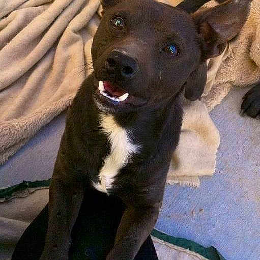 Kilo joined the competition — help win amazing prizes!