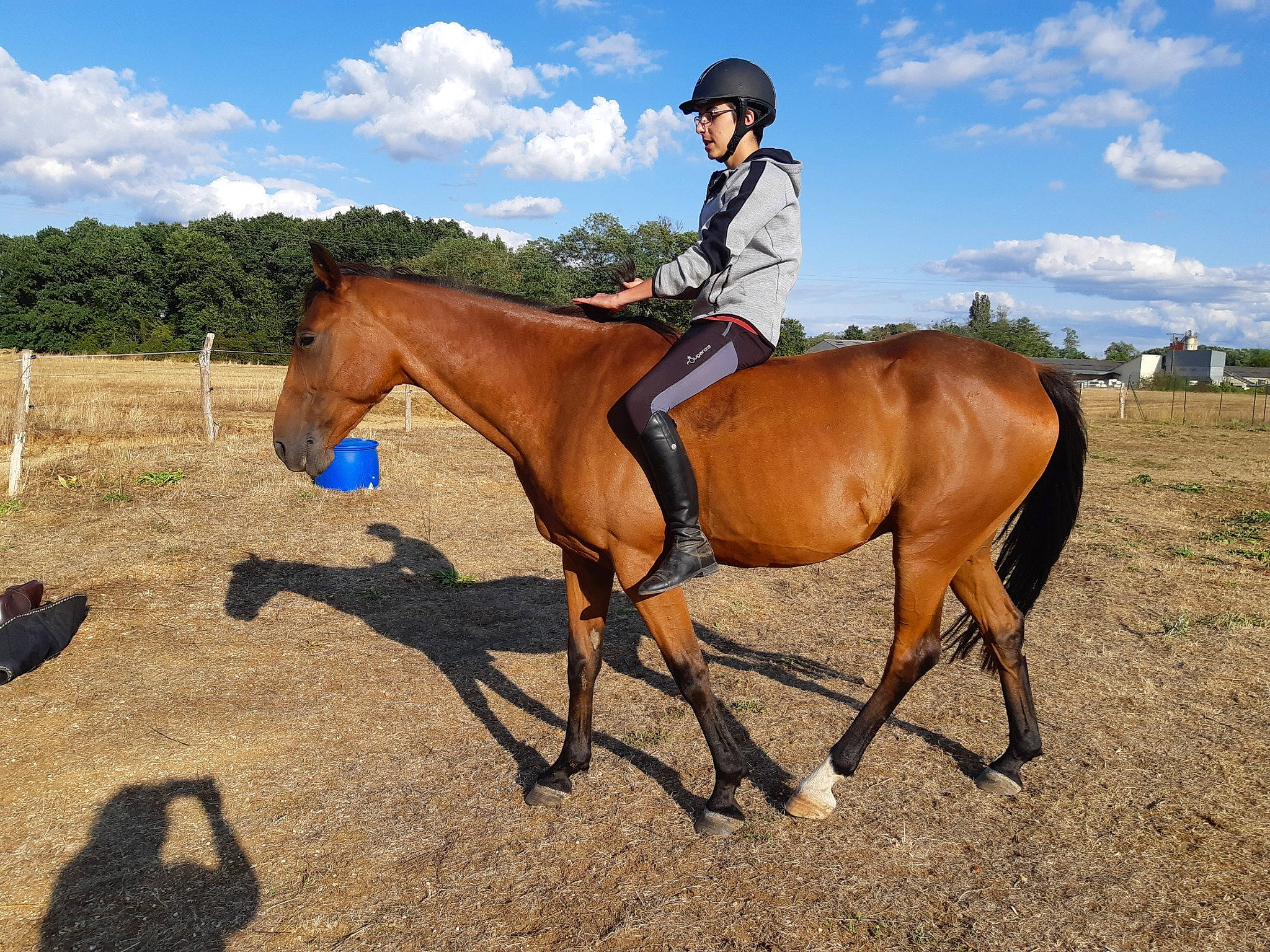 Booster Du Trêves a rejoint le concours — aidez-le/la à gagner de superbes lots ! animal_sports, bridle, equestrian_sport, equestrianism, equitation, halter, horse, horse_supplies, horse_tack, mammal, mane, mare, outdoor_recreation, ranch, recreation, rein, riding_instructor, saddle, stallion, vertebrate