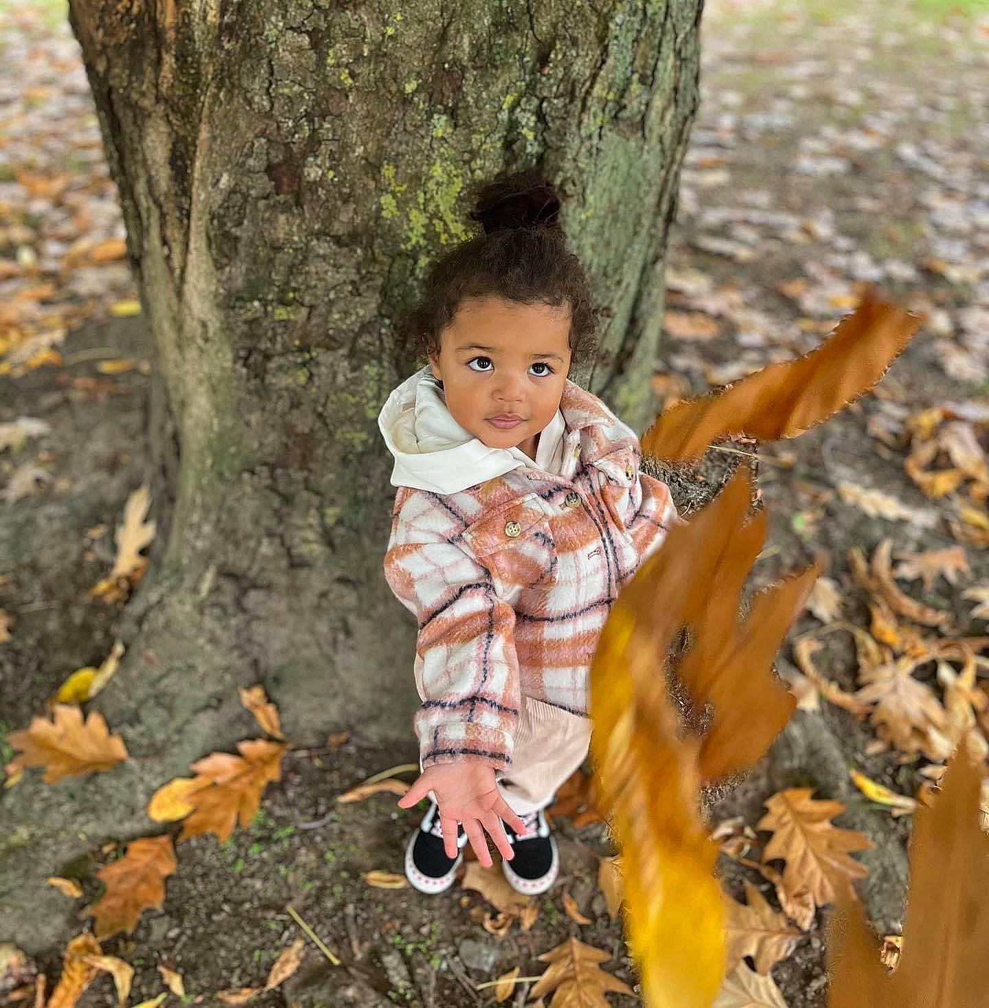 Sana participe au concours pour gagner de l'argent avec cette photo : baby_toddler_clothing, child, deciduous, eye, face, fawn, forest, grass, happy, head, leaf, people_in_nature, person, plant, smile, toddler, tree, trunk, twig, wood