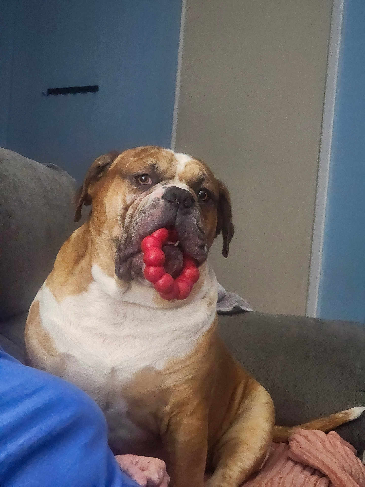 Sampson