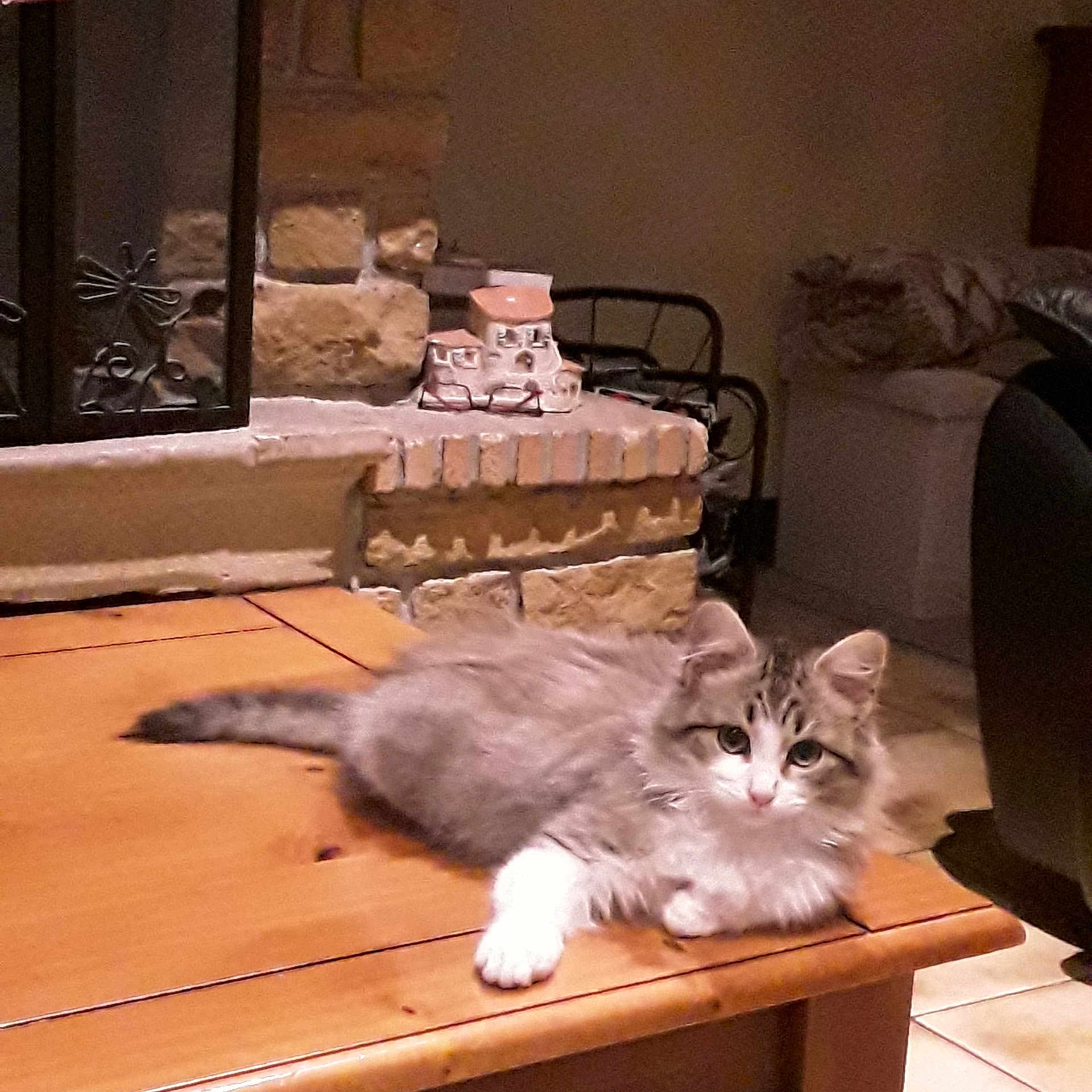 Hermione