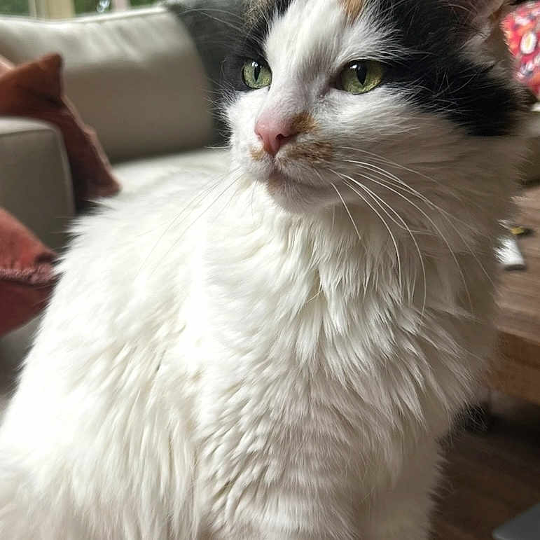 Luna