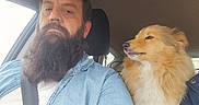 Vivi participe au concours pour gagner de l'argent avec cette photo : man, beard, dog, car, seatbelt, casual_clothing, window, seat, interior, pet, fluffy_dog, golden_fur, companion, portrait, indoors, side_view, serious_expression, driving, human, animal