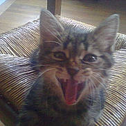 TITOU a rejoint le concours — aidez-le/la à gagner de superbes lots !