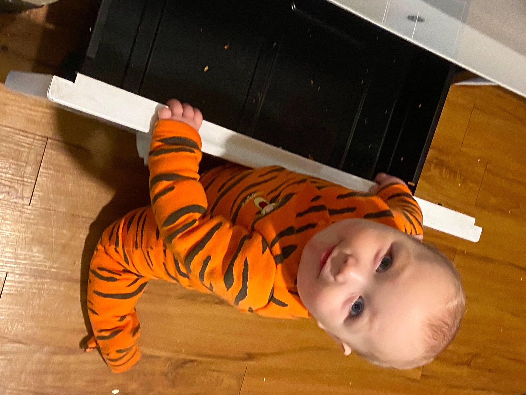 Waylon Sawyer is registered to the contest to win money with this photo: baby, bengal_tiger, big_cats, child, computer_keyboard, felidae, floor, flooring, fun, fur, happy, hardwood, home_appliance, orange, pattern, person, room, smile, tiger, toddler