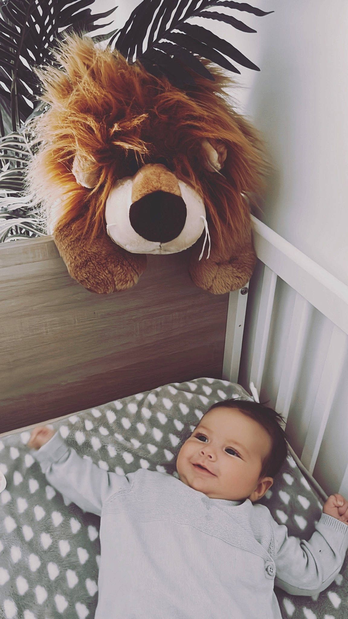 Noa a rejoint le concours — aidez-le/la à gagner de superbes lots ! baby, baby_safety, baby_toddler_clothing, carnivore, comfort, dog, dog_breed, fawn, glasses, goggles, headgear, headwear, joy, liver, mammal, person, product, sunglasses, textile, toddler