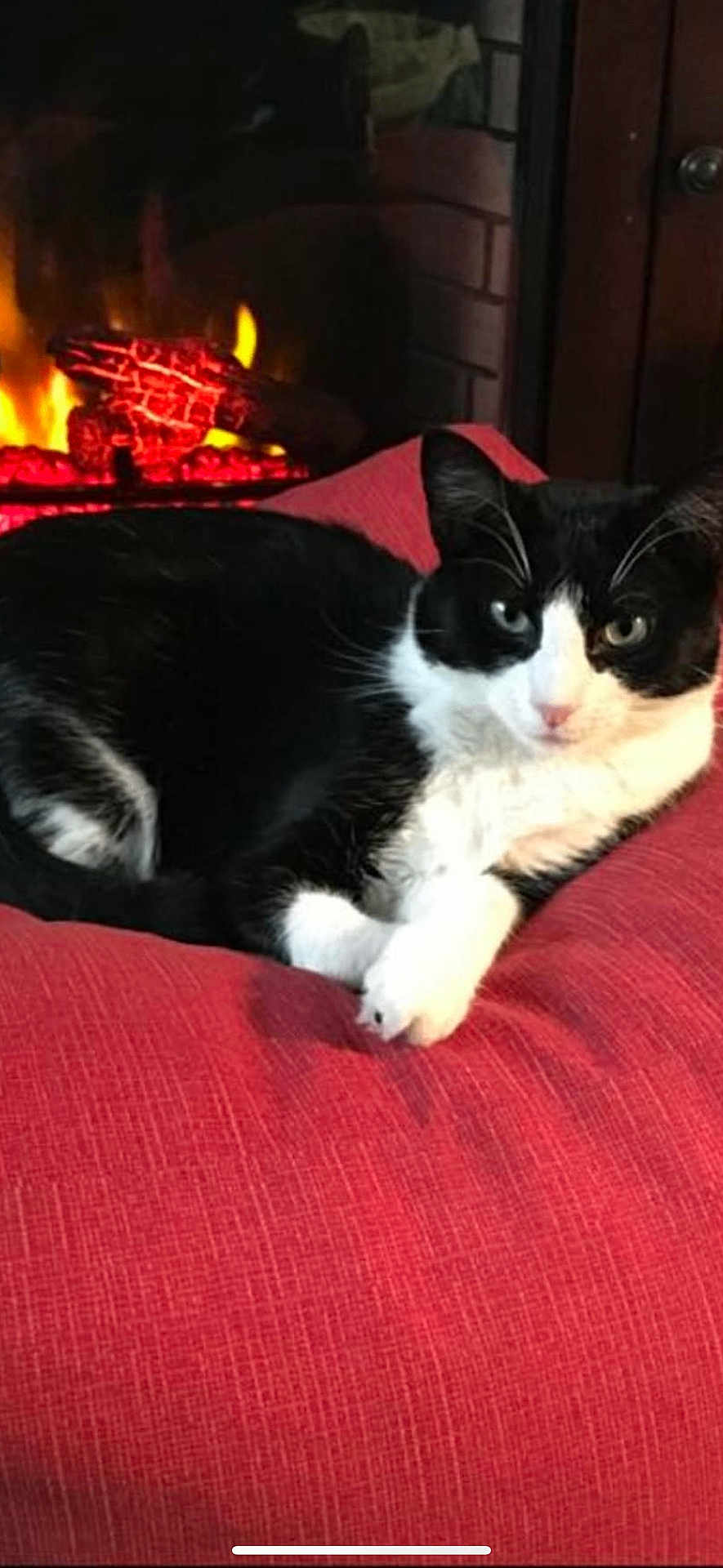 Kiki