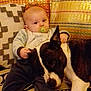 baby, pacifier, dog, couch, pillow, blanket, indoor, resting, comfort, child, pet, animal, cute, relaxed, home, toddler, fur, friendship, pattern, warm