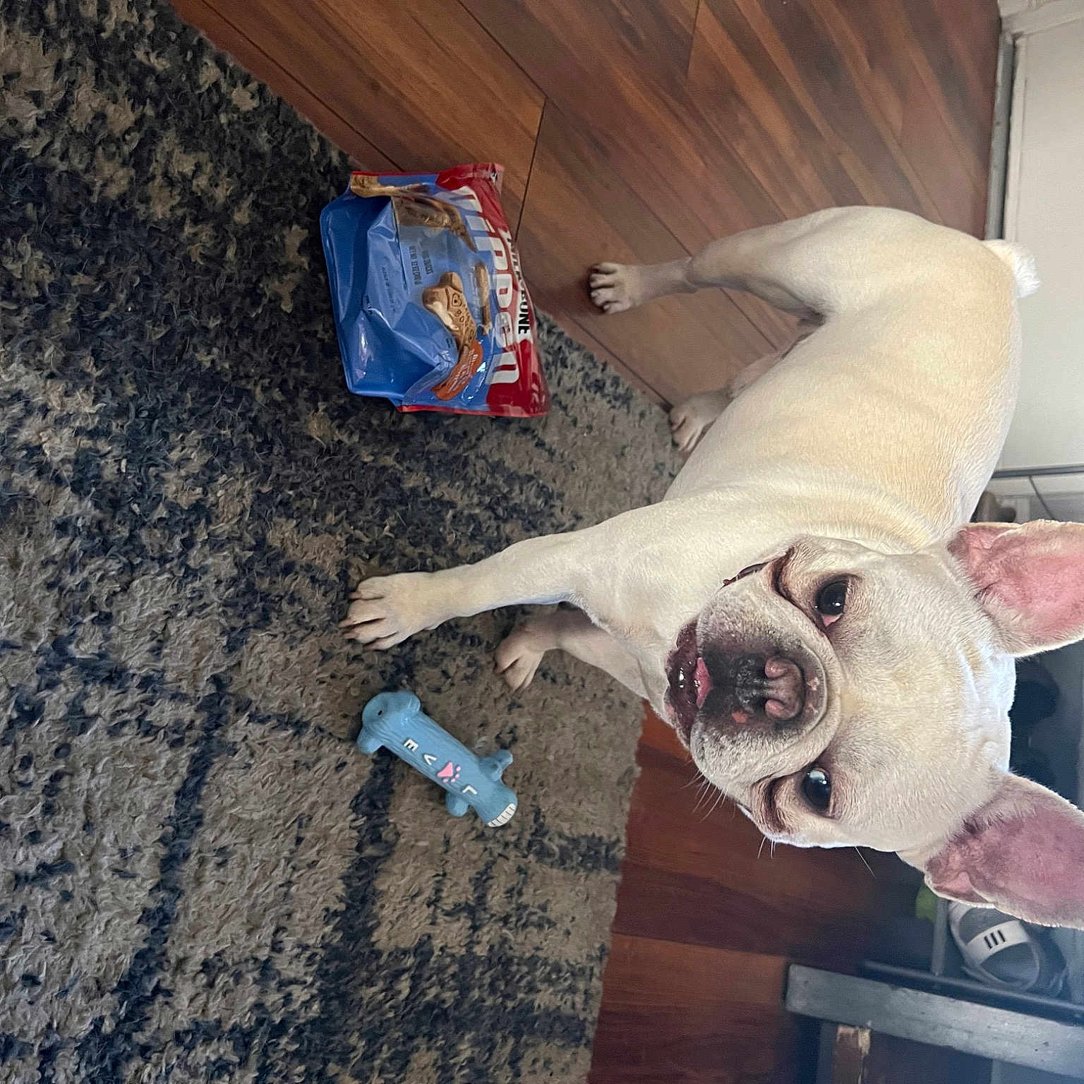 Winston