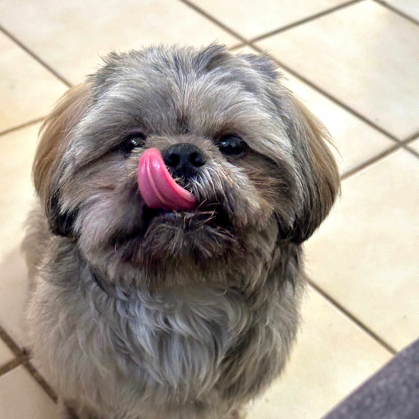 Loky