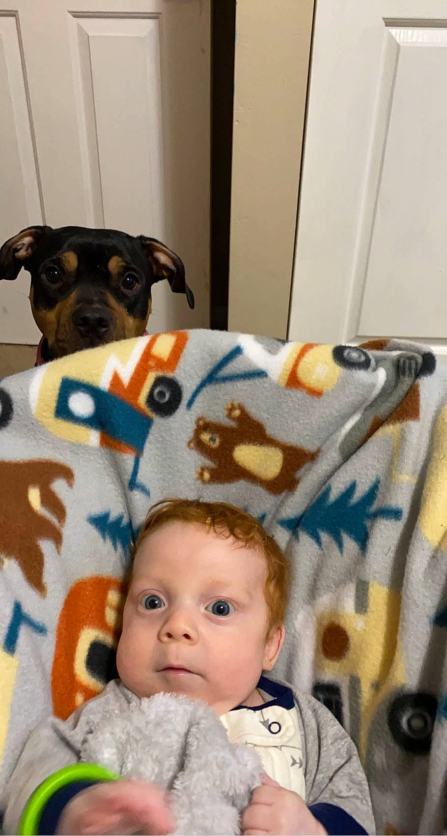 Lucas is registered to the contest to win money with this photo: baby, baby_toddler_clothing, carnivore, cheek, child, comfort, companion_dog, dog, dog_breed, dog_supply, face, fawn, happy, head, linens, organ, person, toddler, toy_dog, whiskers