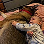 baby, dog, cuddle, pajamas, blanket, pet, friendship, comfort, indoor, bedroom, child, animal, sleeping, relaxation, soft, fur, hand, face, rest, cute