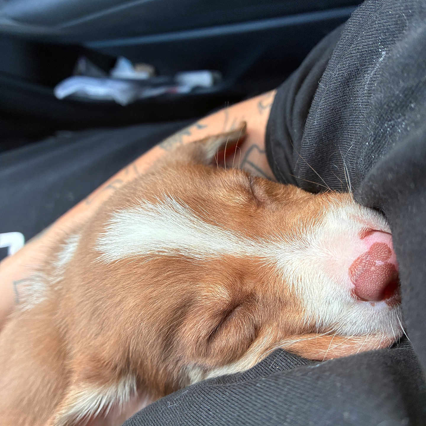 Willow