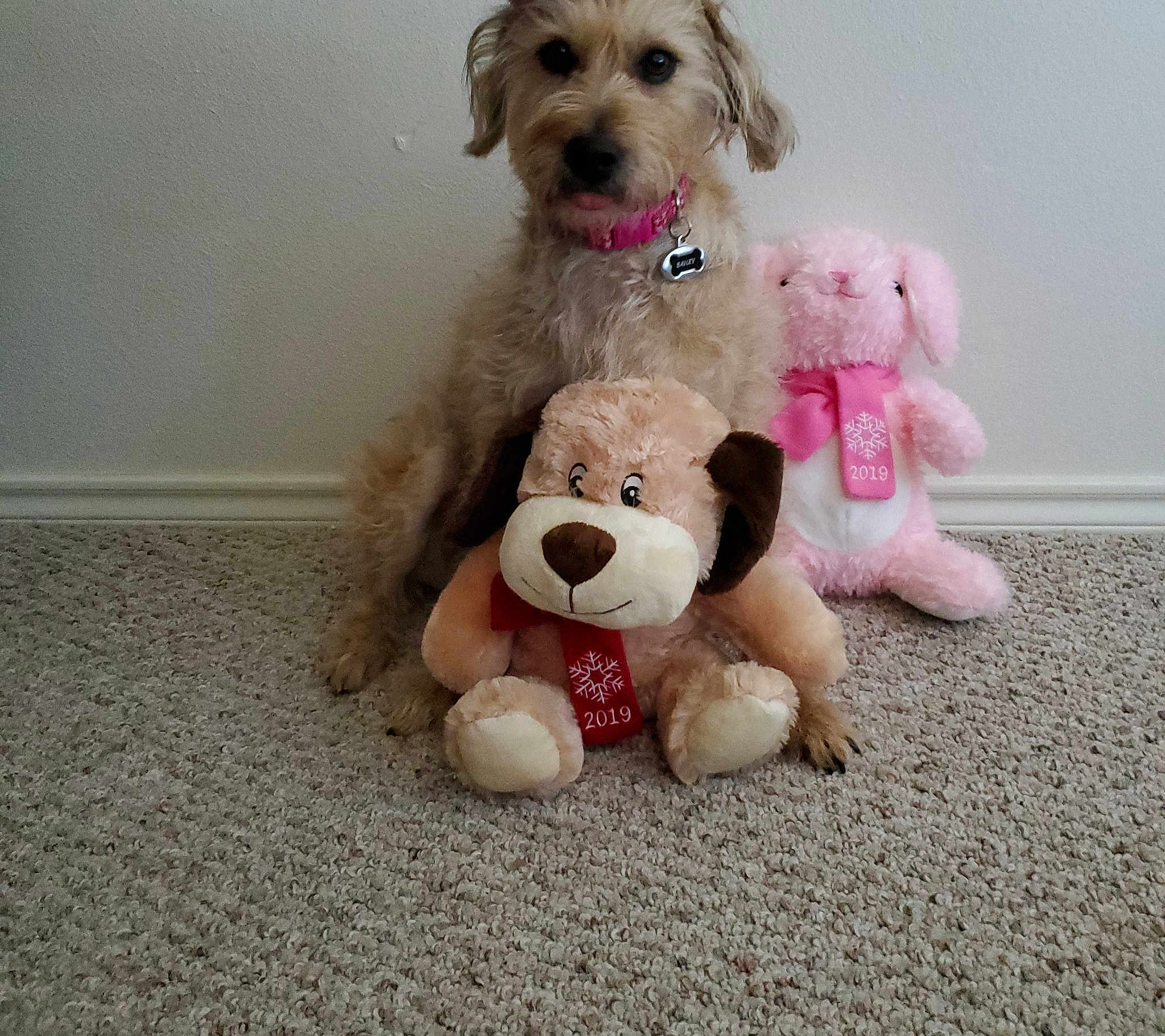 Bailey Ashton Lee