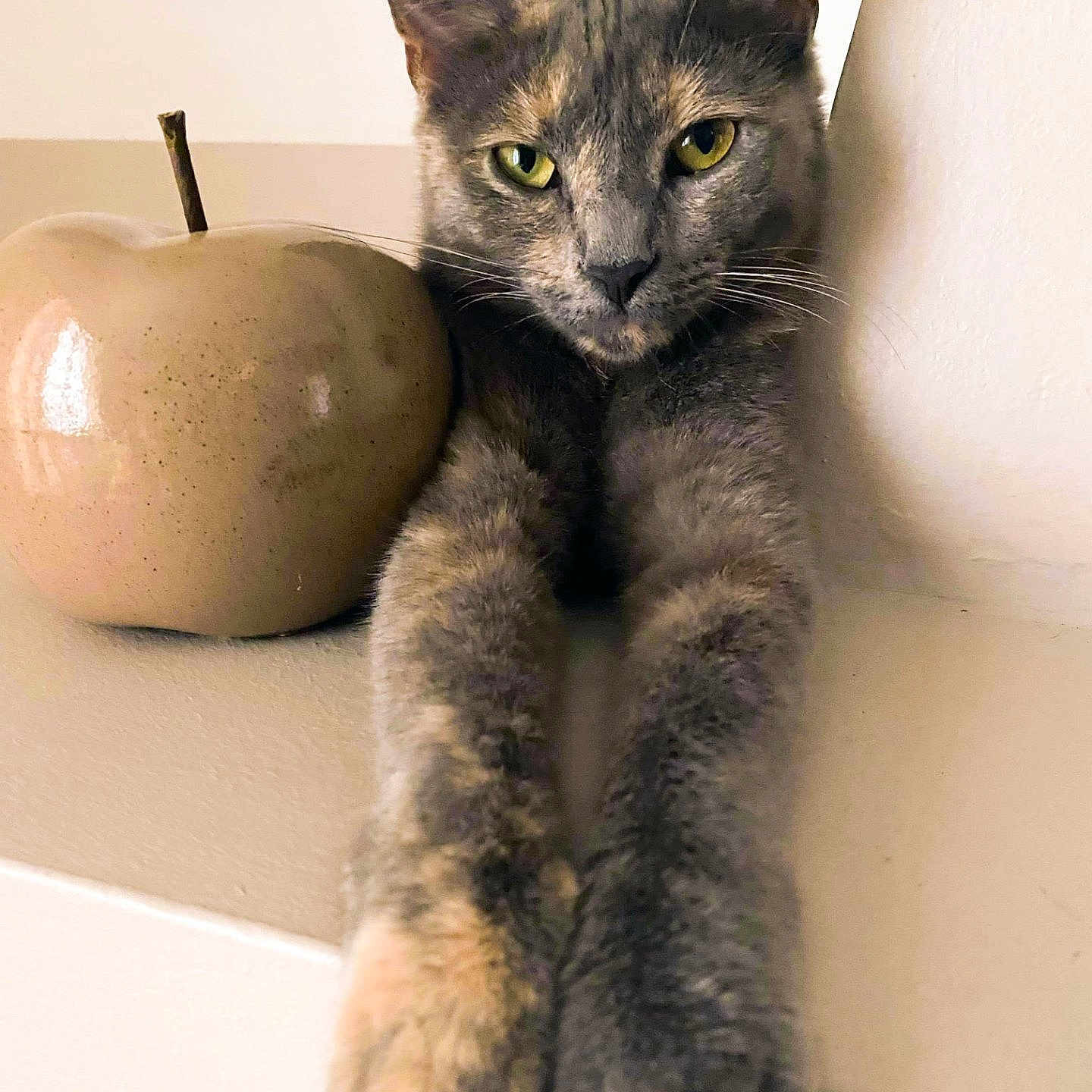 Leïca